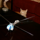 Illustration for article titled My Cat Vs. The Dragonfly, The Battle to End All Battles